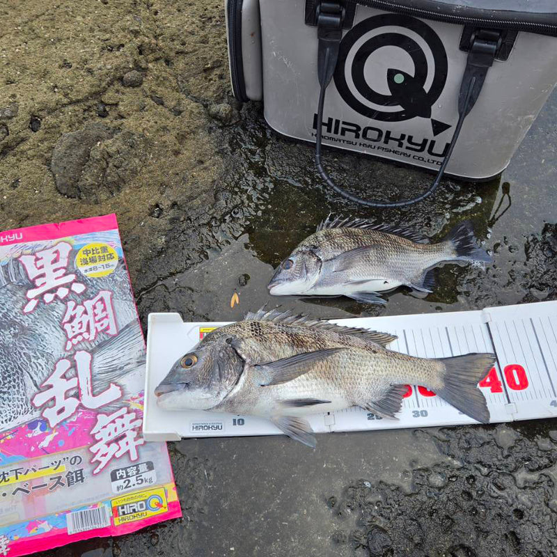 『浅場のチヌ釣り』shun