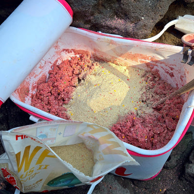 お手軽地磯釣行　shun